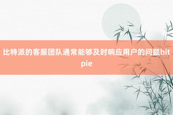 比特派的客服团队通常能够及时响应用户的问题bitpie