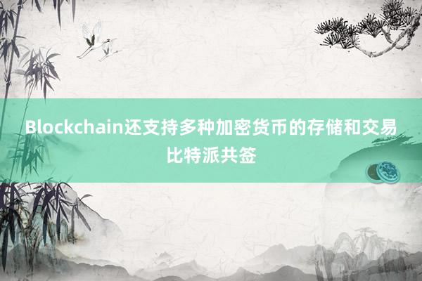 Blockchain还支持多种加密货币的存储和交易比特派共签