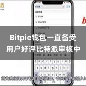 Bitpie钱包一直备受用户好评比特派审核中