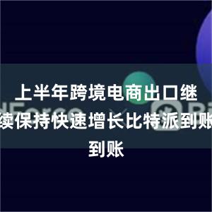 上半年跨境电商出口继续保持快速增长比特派到账