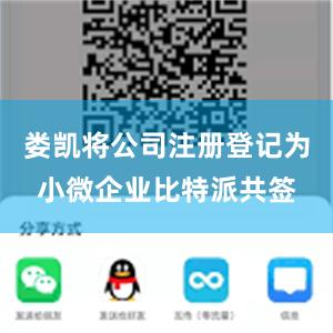 娄凯将公司注册登记为小微企业比特派共签