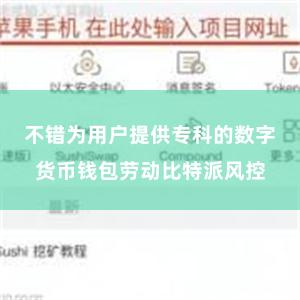 不错为用户提供专科的数字货币钱包劳动比特派风控