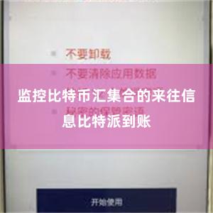 监控比特币汇集合的来往信息比特派到账